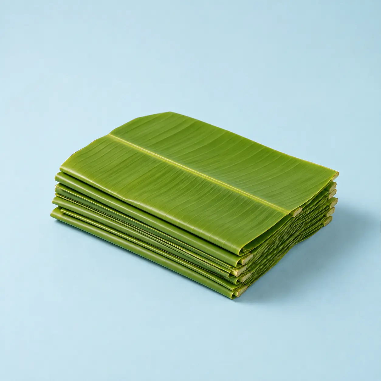 Premium Banana Leaves Export Product